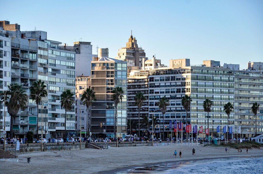 old photo album uruguay